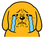 862229892