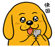 862229903