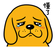 862229904