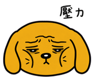 862229913