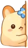 862235079