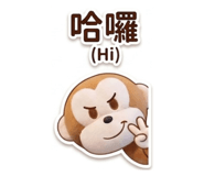 862240243