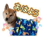 862243258