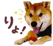 862243259