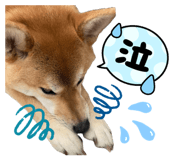 862243261