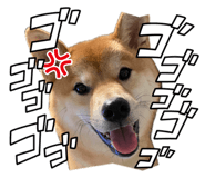 862243266