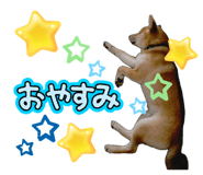862243269