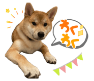 862243271