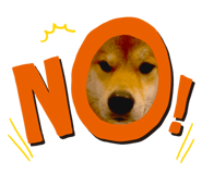 862243273