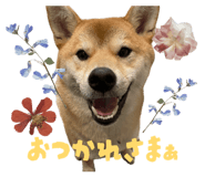 862243274