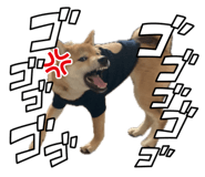862243278
