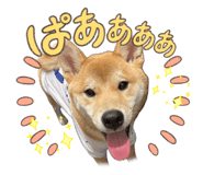 862243279