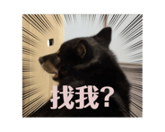 862245475