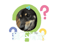 862245481