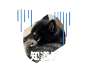 862245483