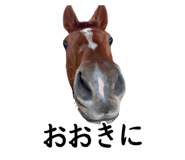 862248161