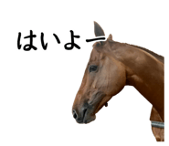 862248163