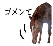 862248165