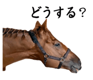 862248166