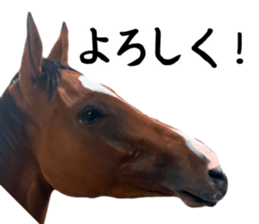 862248168