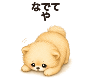 862263008