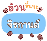 862293331