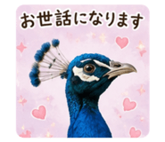 862315915
