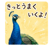 862315924