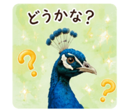862315927
