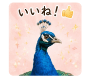 862315930