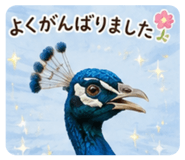 862315932