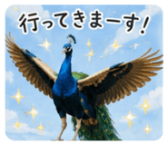 862315935