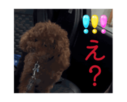 862317717