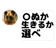862321612