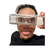 862322019