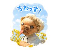 862323771