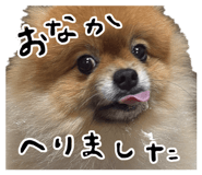 862324038