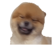 862324040