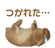 862325014