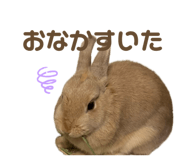 862325016