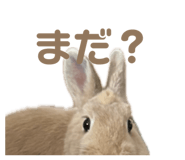 862325022