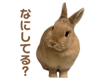862325023