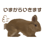 862325026