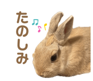 862325028