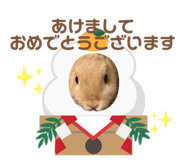 862325032