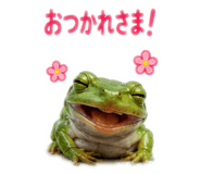 862326174