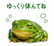 862326176
