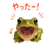862326177