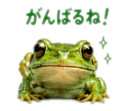 862326183