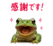 862326184